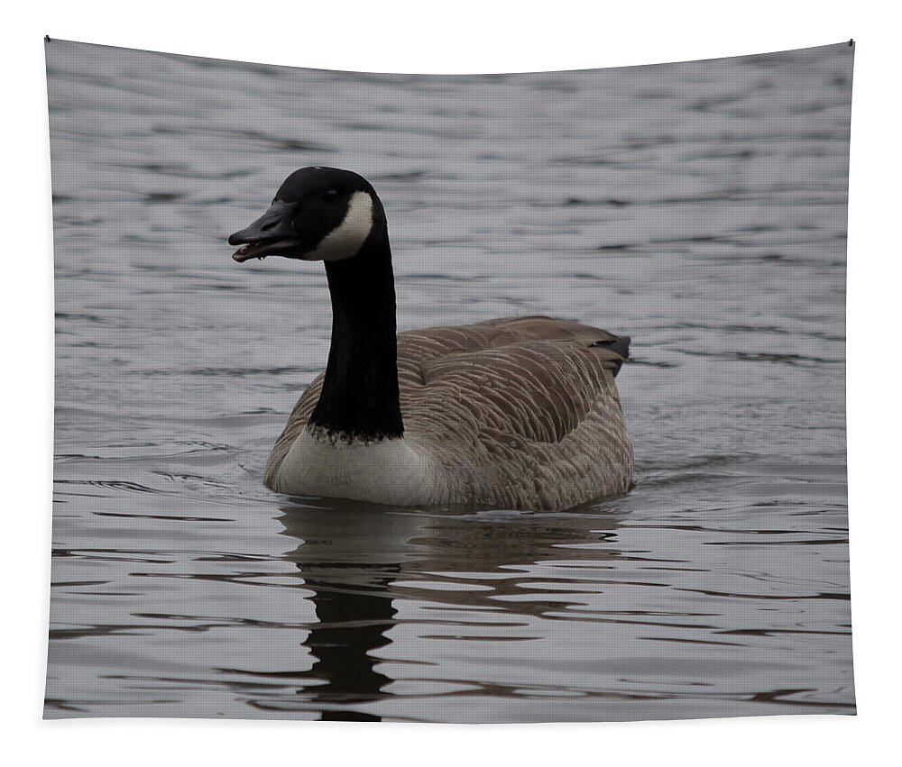 Bird Tapestry featuring the photograph Goose Mouth Hanging Open by Scott Lyons
