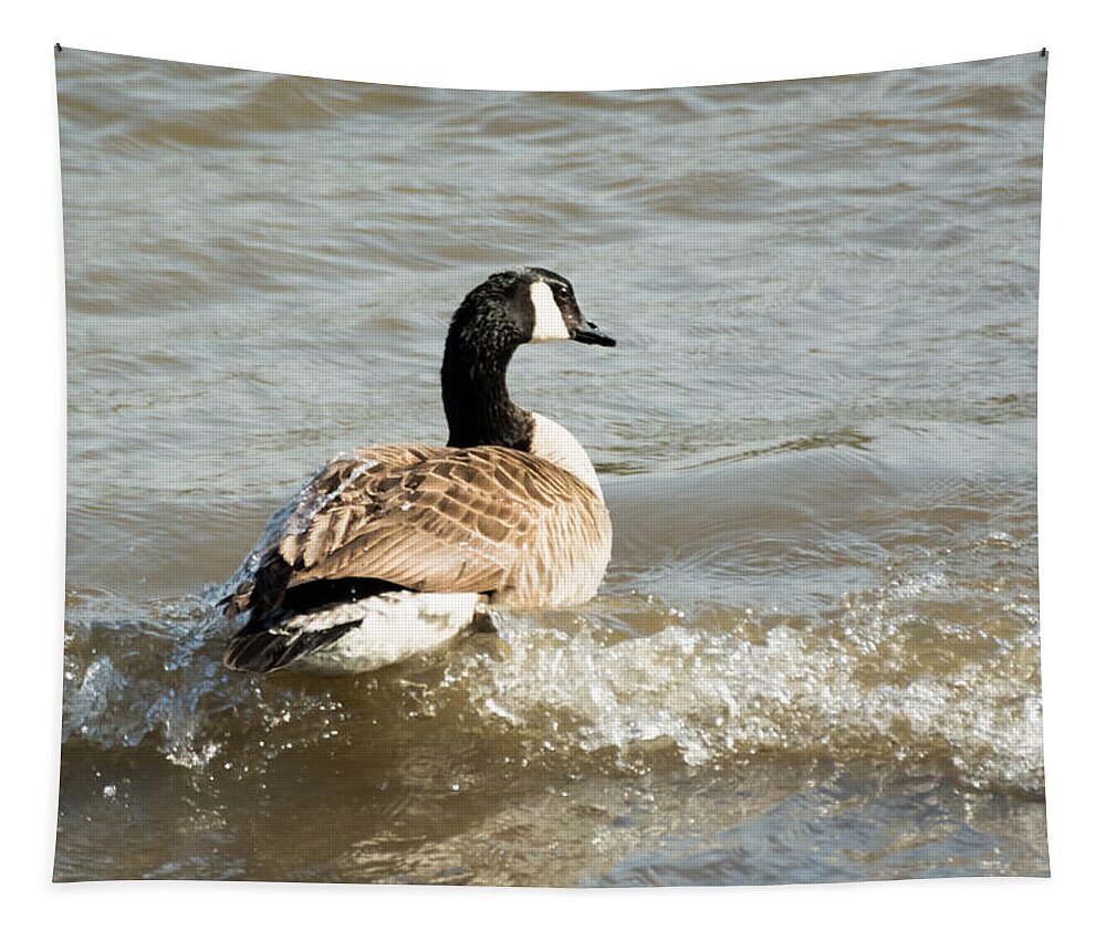 Goose Tapestry featuring the photograph Goose Rides A Wave by Holden The Moment
