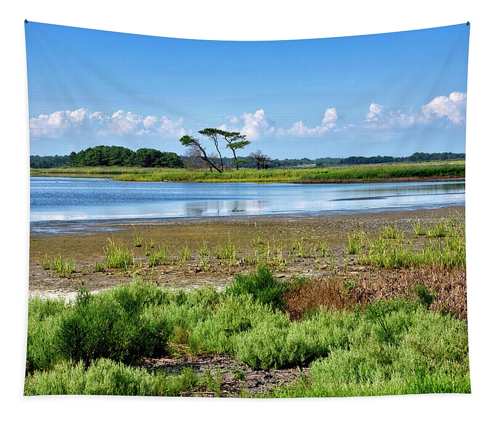 Gordons Pond Tapestry featuring the photograph Gordons Pond at Cape Henlopen State Park - Delaware by Brendan Reals