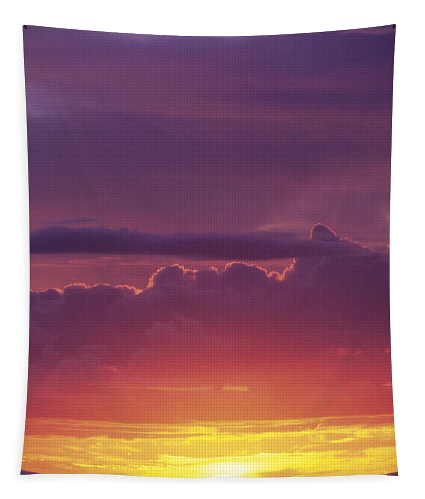 Afternoon Tapestry featuring the photograph Gorgeous Sunset by Carl Shaneff - Printscapes