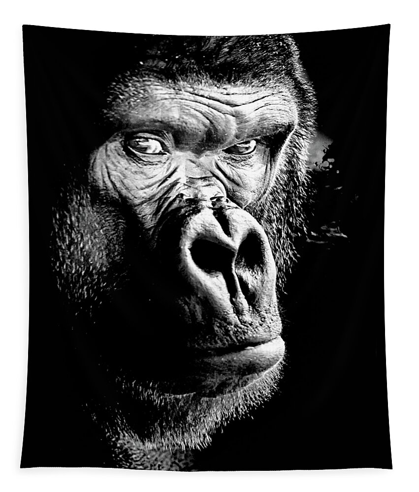 Gorilla Wall Art For Living Room Tapestry featuring the photograph Gorilla by David Millenheft