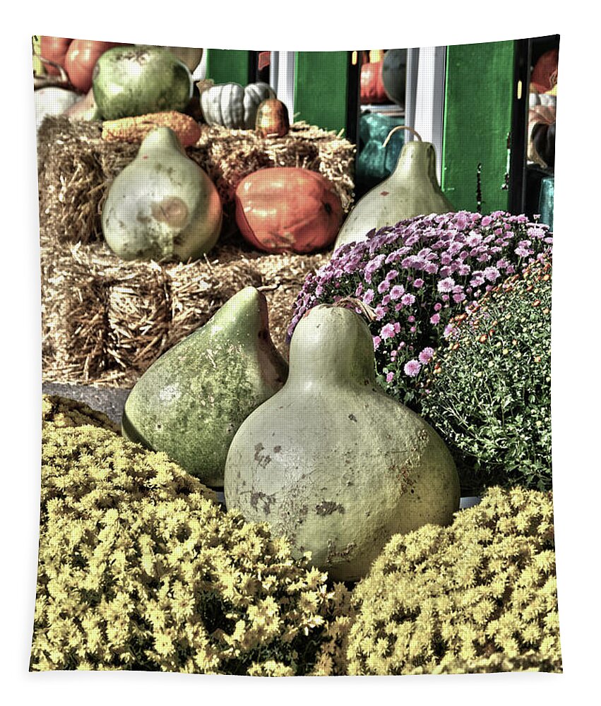 Pumpkin. Pumpkins Tapestry featuring the photograph Gourds on Display 2 by Lesa Fine