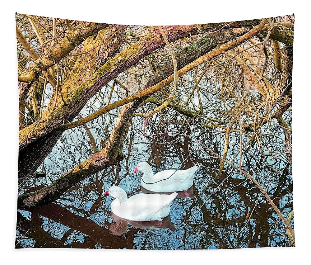 Countrylife Tapestry featuring the photograph Grace And Flow In Amber by Rowena Tutty