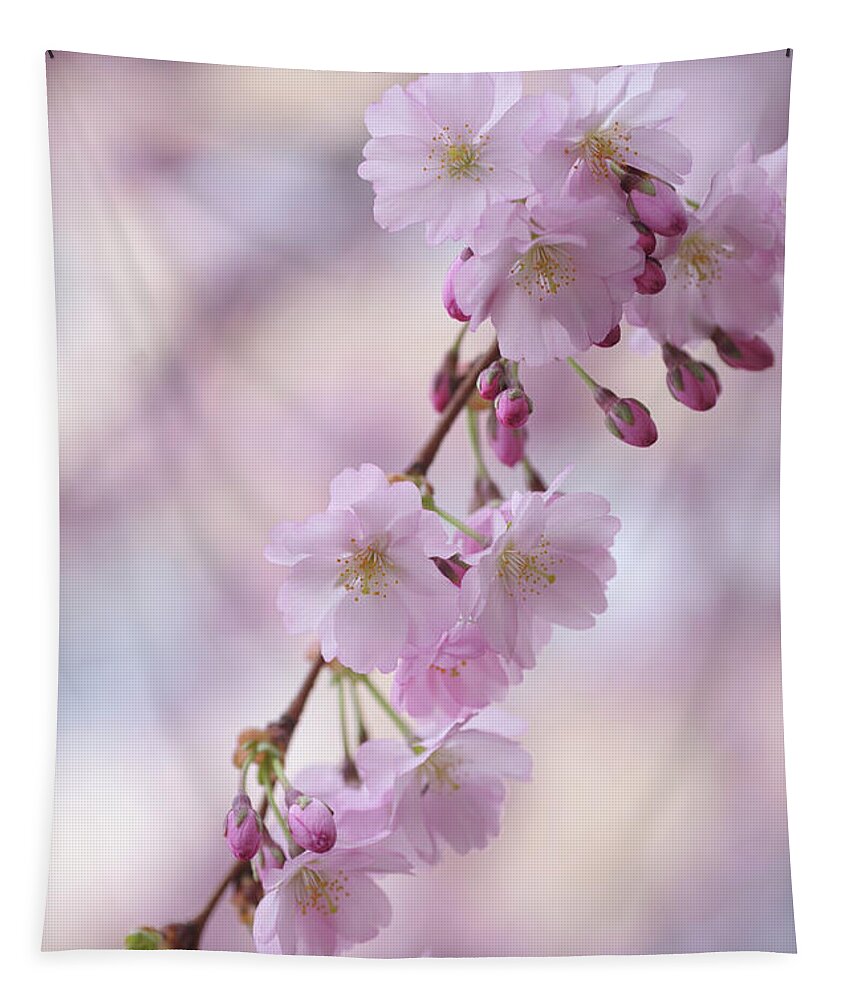 Jenny Rainbow Fine Art Photography Tapestry featuring the photograph Grace of Sakura. Spring Pastels by Jenny Rainbow