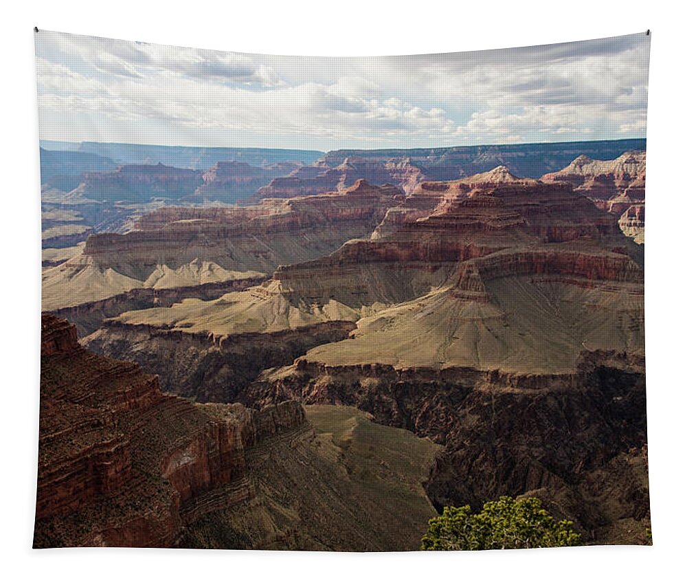 Grand Tapestry featuring the photograph Grand Canyon by Jennifer Ancker