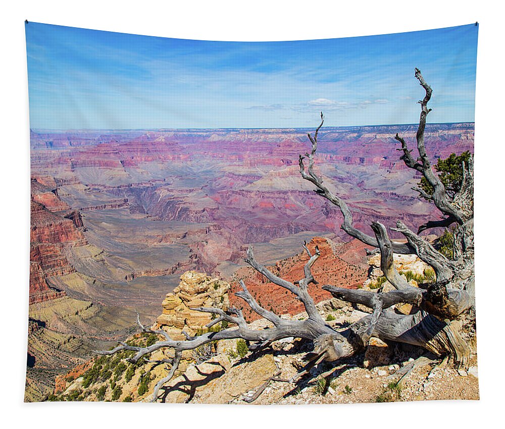 Grand Canyon National Park Tapestry featuring the photograph Grand Canyon Tree by Joe Kopp