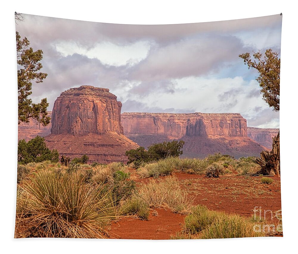 Monument Valley Print Tapestry featuring the photograph Grandview by Jim Garrison