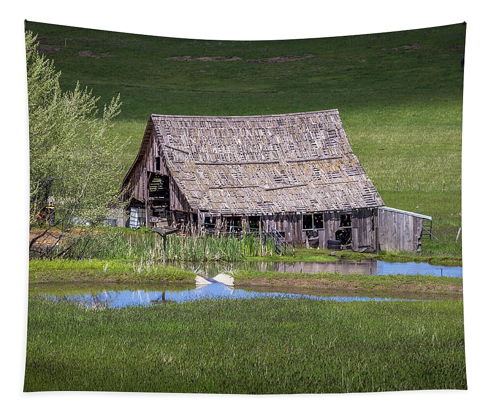 Grangeville Tapestry featuring the photograph Grangeville Barn by Brad Stinson