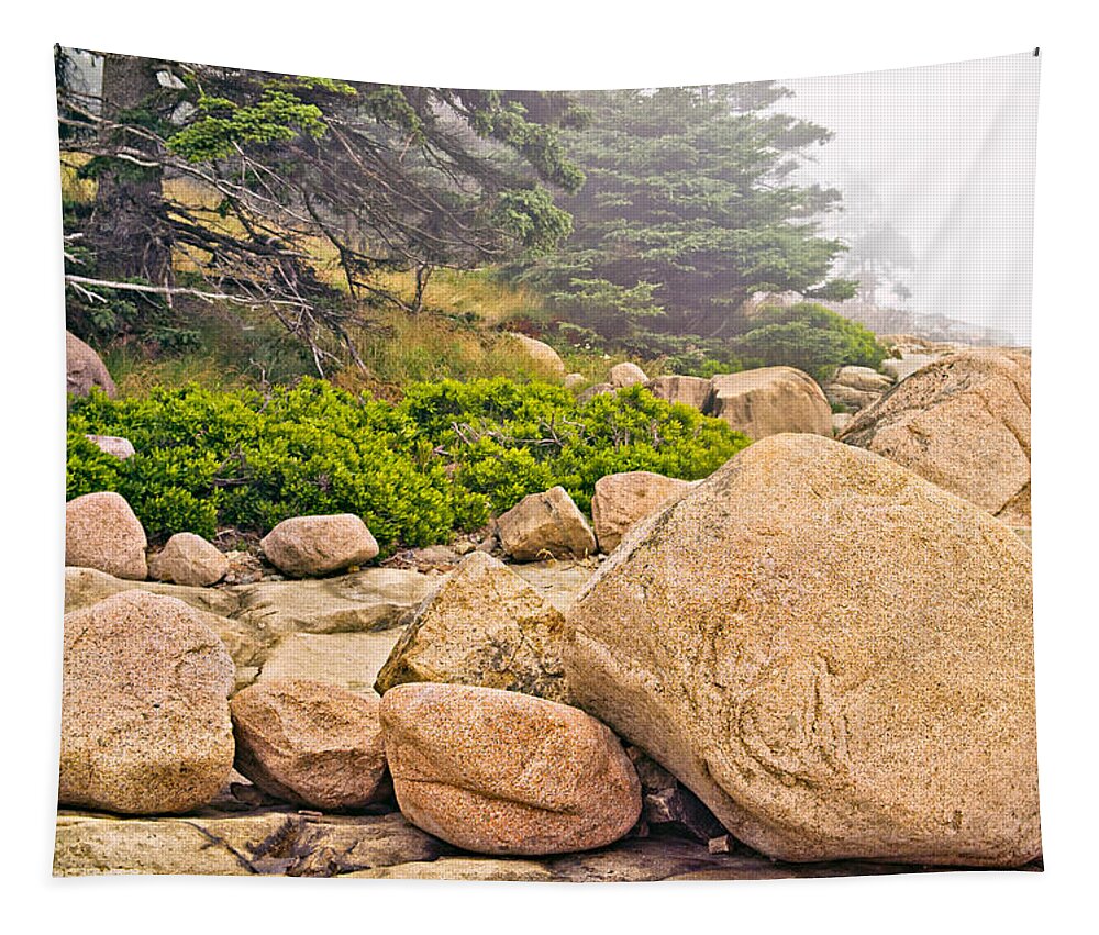 Rock Tapestry featuring the photograph Granite Boulders Acadia by Peter J Sucy