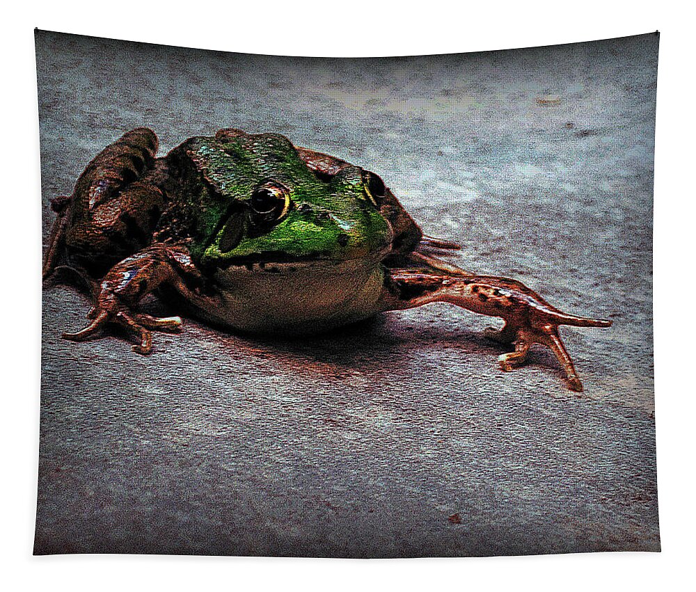 Frog Tapestry featuring the digital art Granter of Three Wishes by Danielle R T Haney