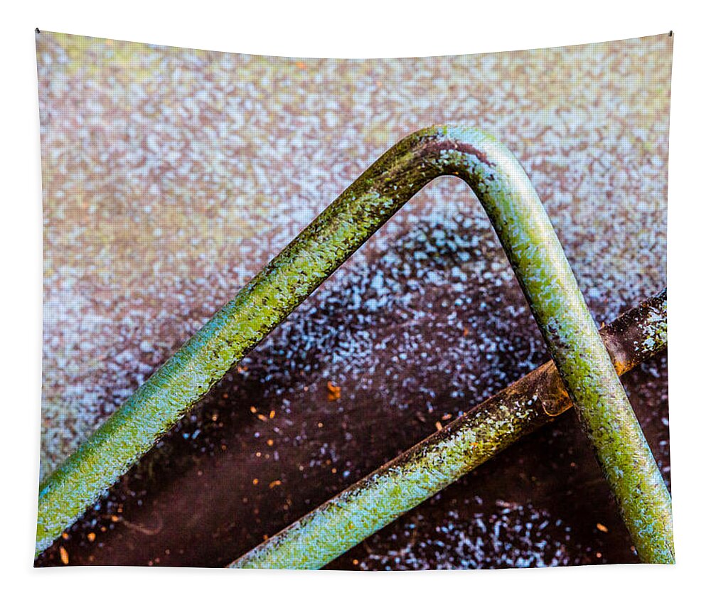 Abstract Photography Tapestry featuring the photograph Grasshopper Legs by SR Green