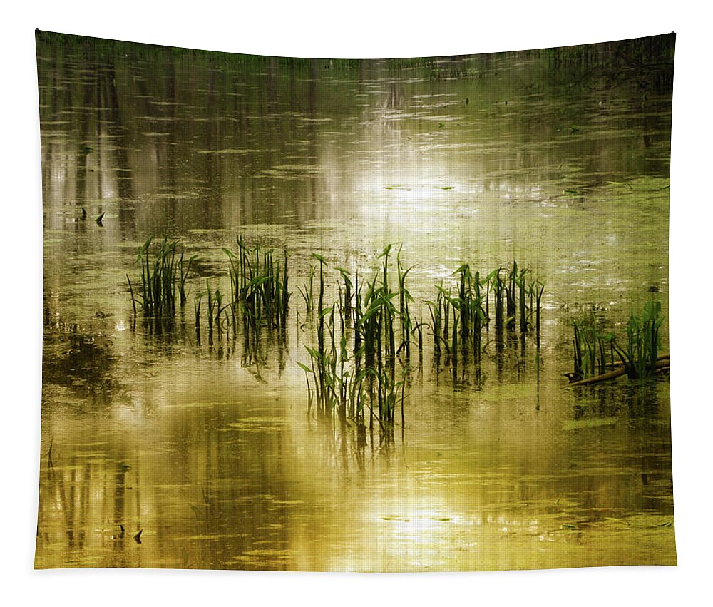 Grass Tapestry featuring the photograph Grassland Abstract by Jessica Jenney