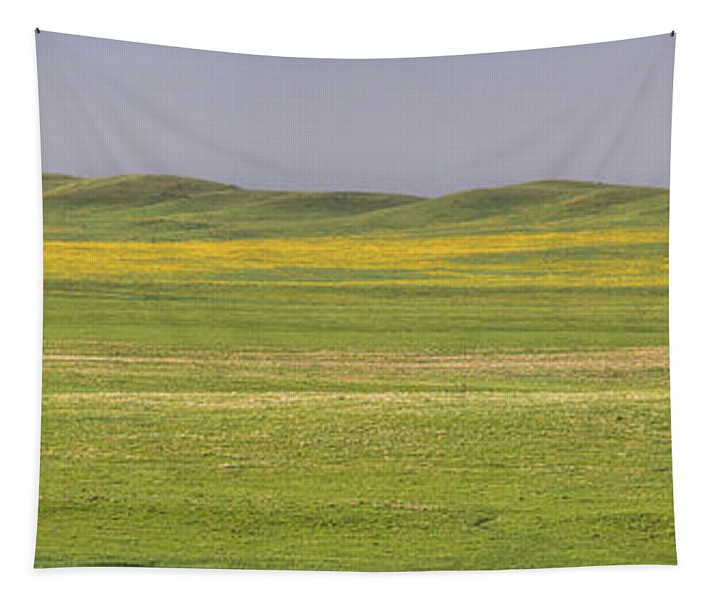 Pawnee National Grasslands Tapestry featuring the photograph Grasslands Panorama by Jim Garrison