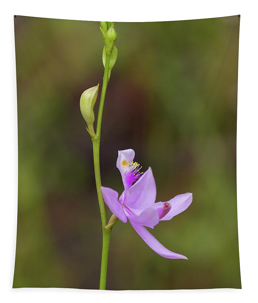 Orchid Tapestry featuring the photograph Grasspink #2 by Paul Rebmann