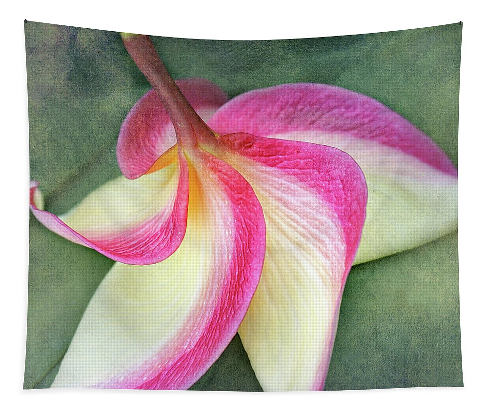 Plumeria Tapestry featuring the photograph Grateful by Kathi Mirto
