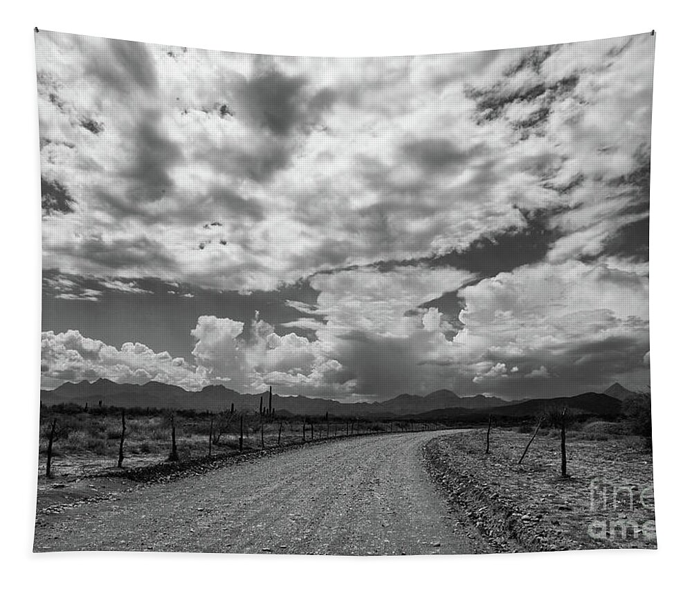 Landscape Tapestry featuring the photograph Gravel by Becqi Sherman