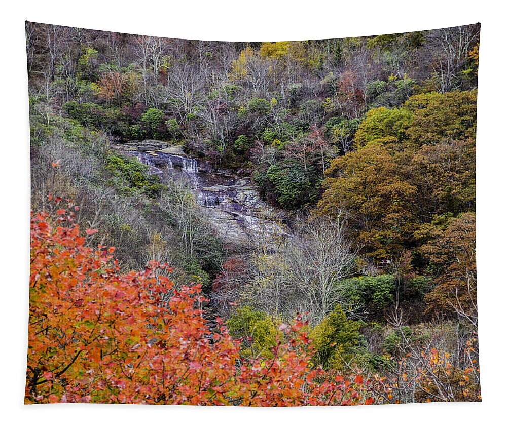 Waterfall Tapestry featuring the photograph Graveyard Fields Lower Falls by Allen Nice-Webb