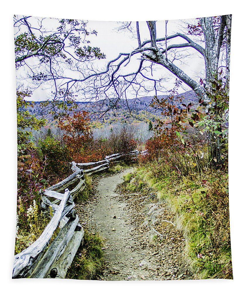 Trail Tapestry featuring the photograph Graveyard Fields Trail by Allen Nice-Webb