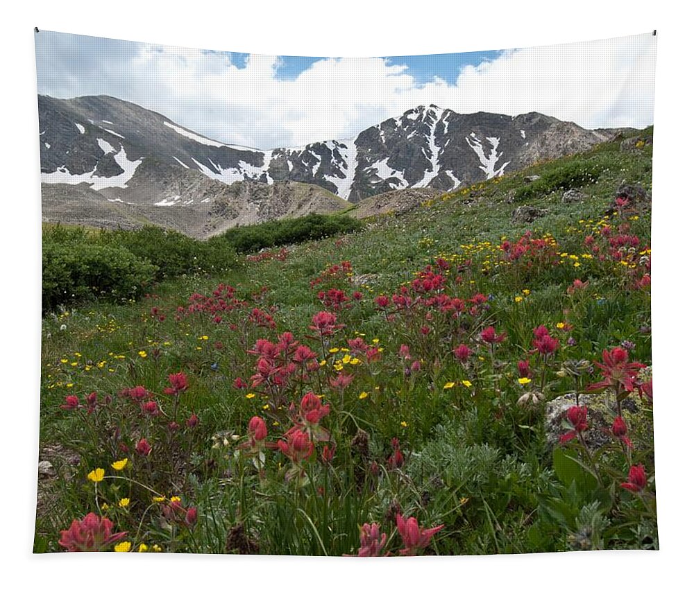 Gray's Peak Tapestry featuring the photograph Gray's and Torreys by Cascade Colors