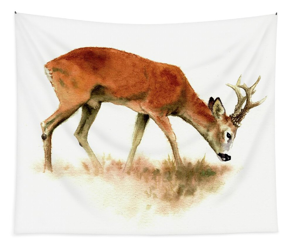 Roebuck Tapestry featuring the painting Grazing Roebuck Watercolor by Attila Meszlenyi
