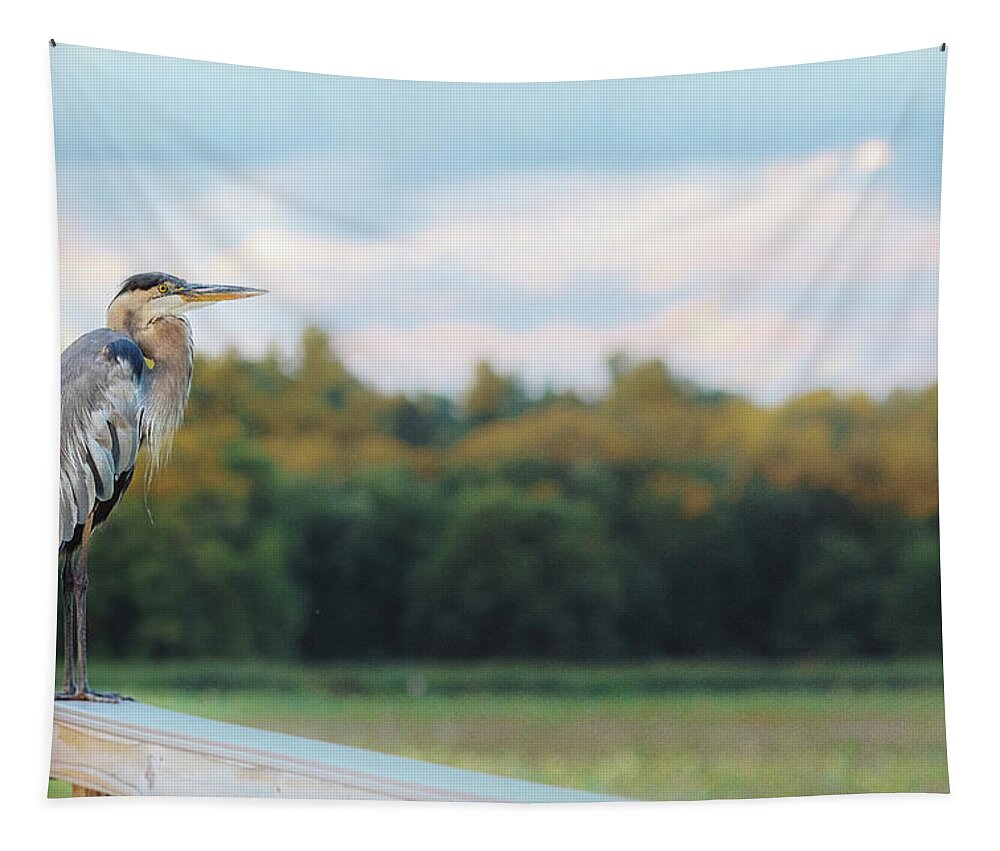 Concord Tapestry featuring the photograph Great Blue Great View Great Meadows by Sylvia J Zarco