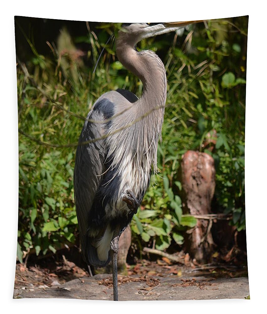 Great Blue Heron 16-02 Tapestry featuring the photograph Great Blue Heron 16-02 by Maria Urso