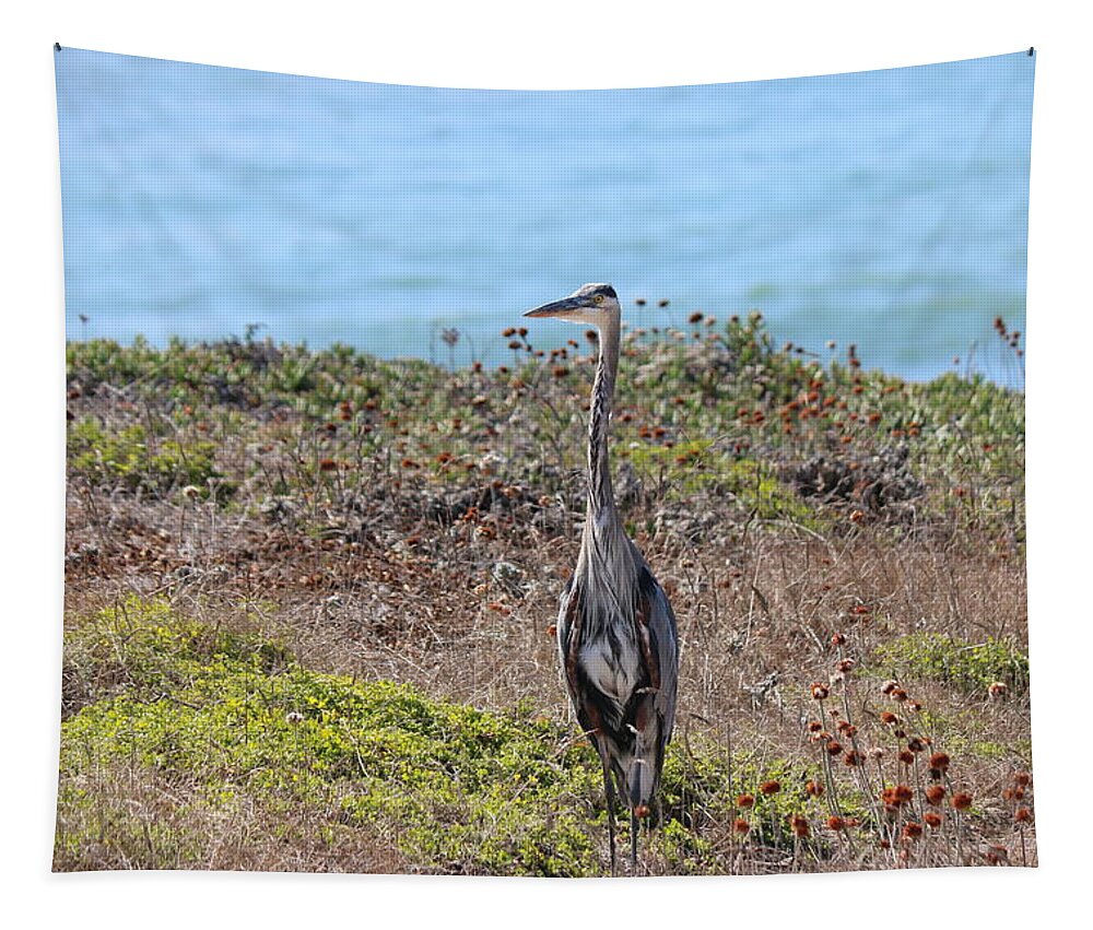 Great Blue Heron Tapestry featuring the photograph Great Blue Heron - 9 by Christy Pooschke