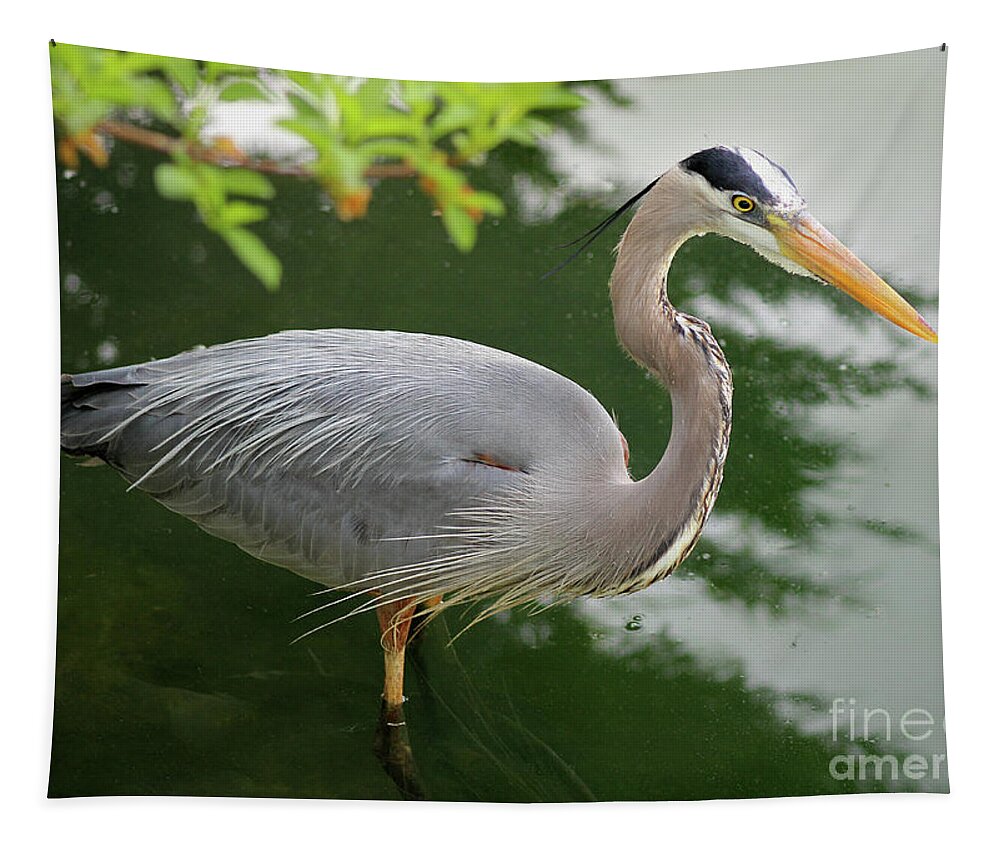 Animal Tapestry featuring the photograph Great Blue Heron by Karen Adams