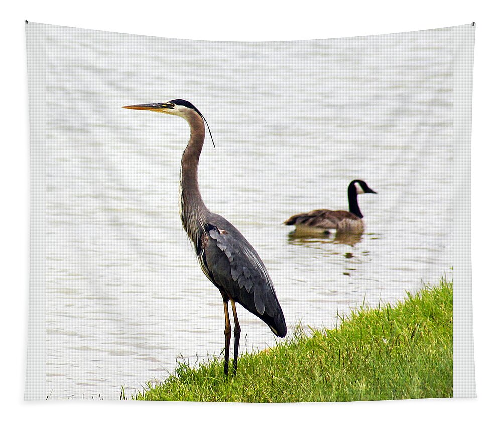 Bird Tapestry featuring the photograph Great Blue Heron by Marilyn Hunt