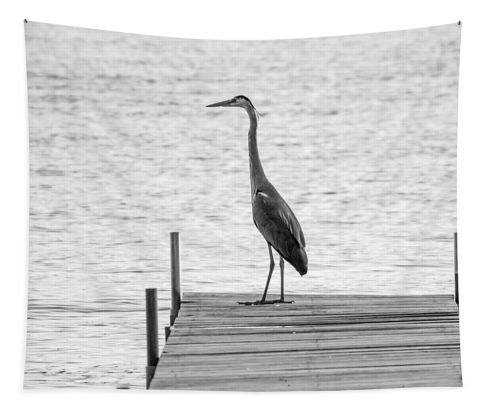 Great Blue Heron Tapestry featuring the photograph Great Blue Heron on Dock - Keuka Lake - BW by Photographic Arts And Design Studio