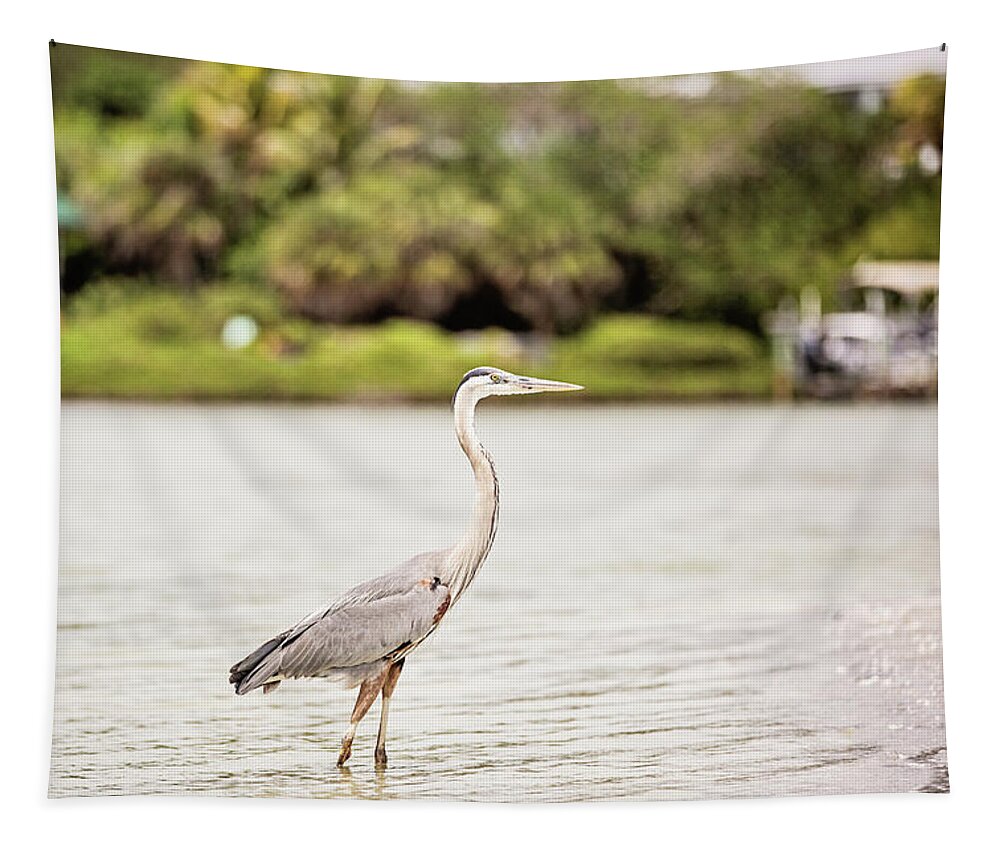Great Blue Heron Tapestry featuring the photograph Great Blue Heron by Scott Pellegrin
