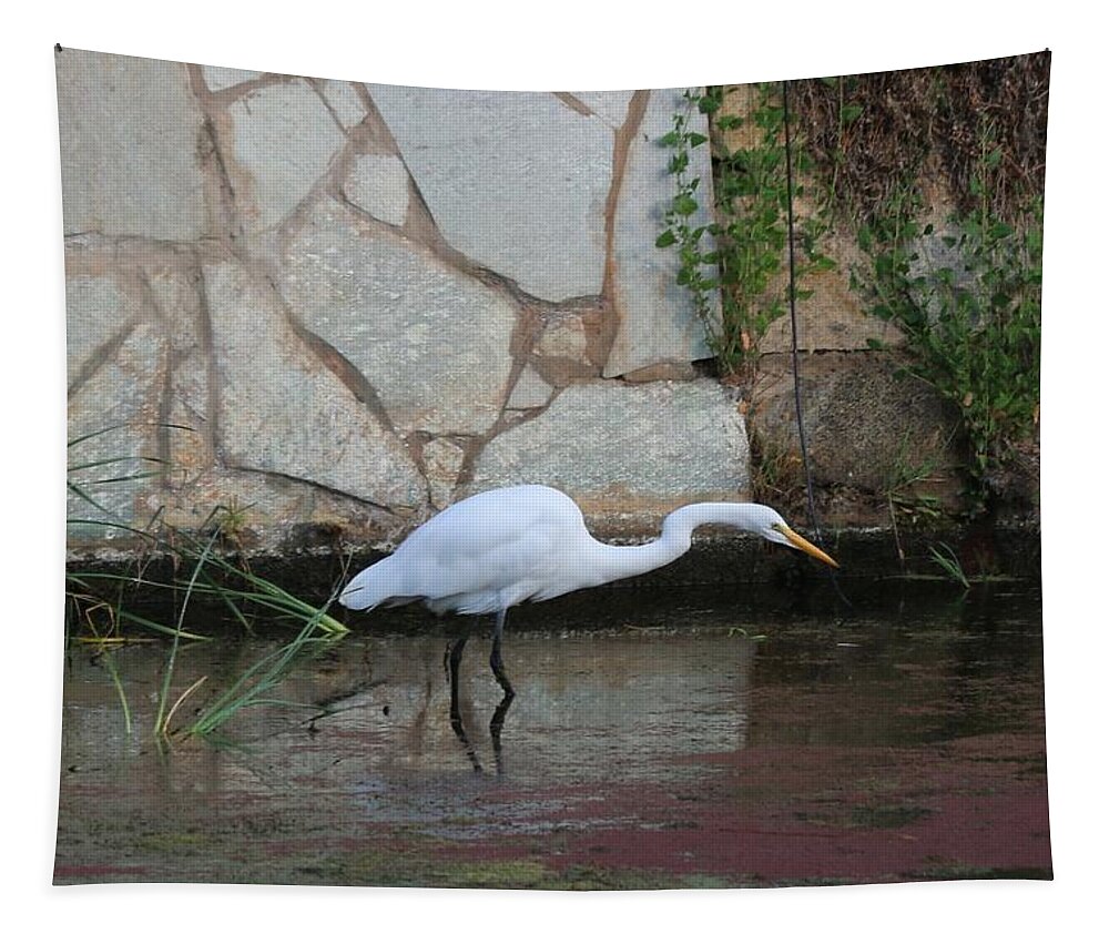 Great Egret Tapestry featuring the photograph Great Egret - 4 by Christy Pooschke