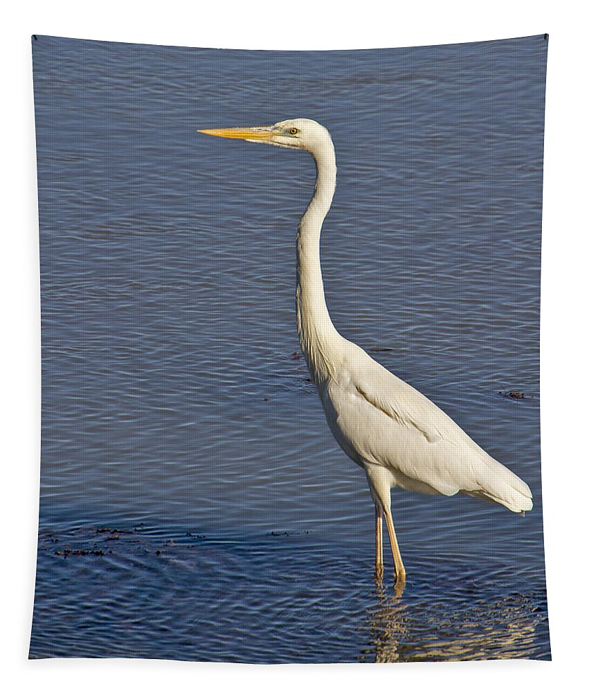 Nature Tapestry featuring the photograph Great Egret by Bob Slitzan