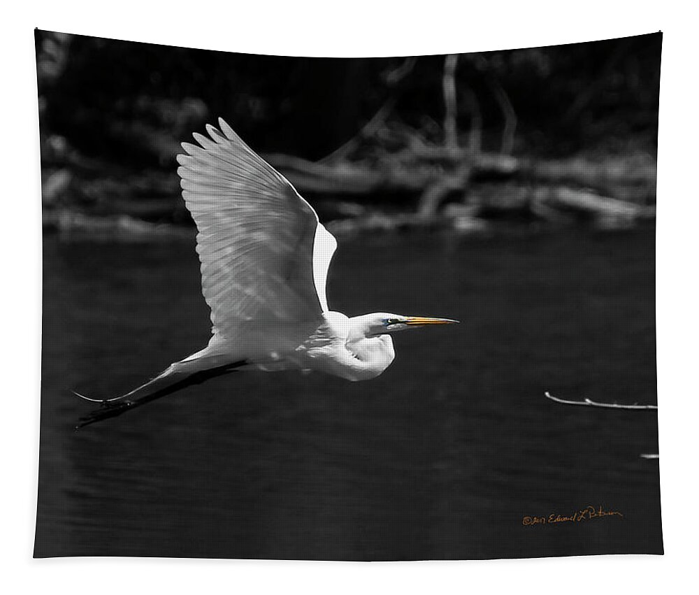 Flight Tapestry featuring the photograph Great Egret In BW by Ed Peterson