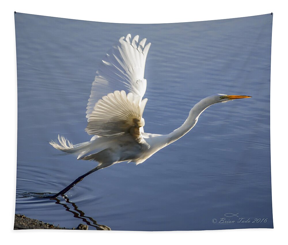 Nature Tapestry featuring the photograph Great Egret Taking Flight by Brian Tada