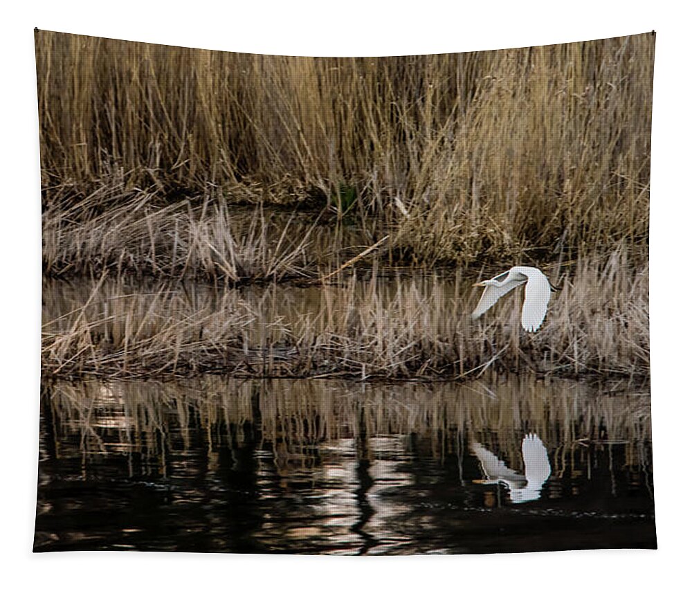 Great Egret Tapestry featuring the photograph Great Egret's flight to a new position by Torbjorn Swenelius