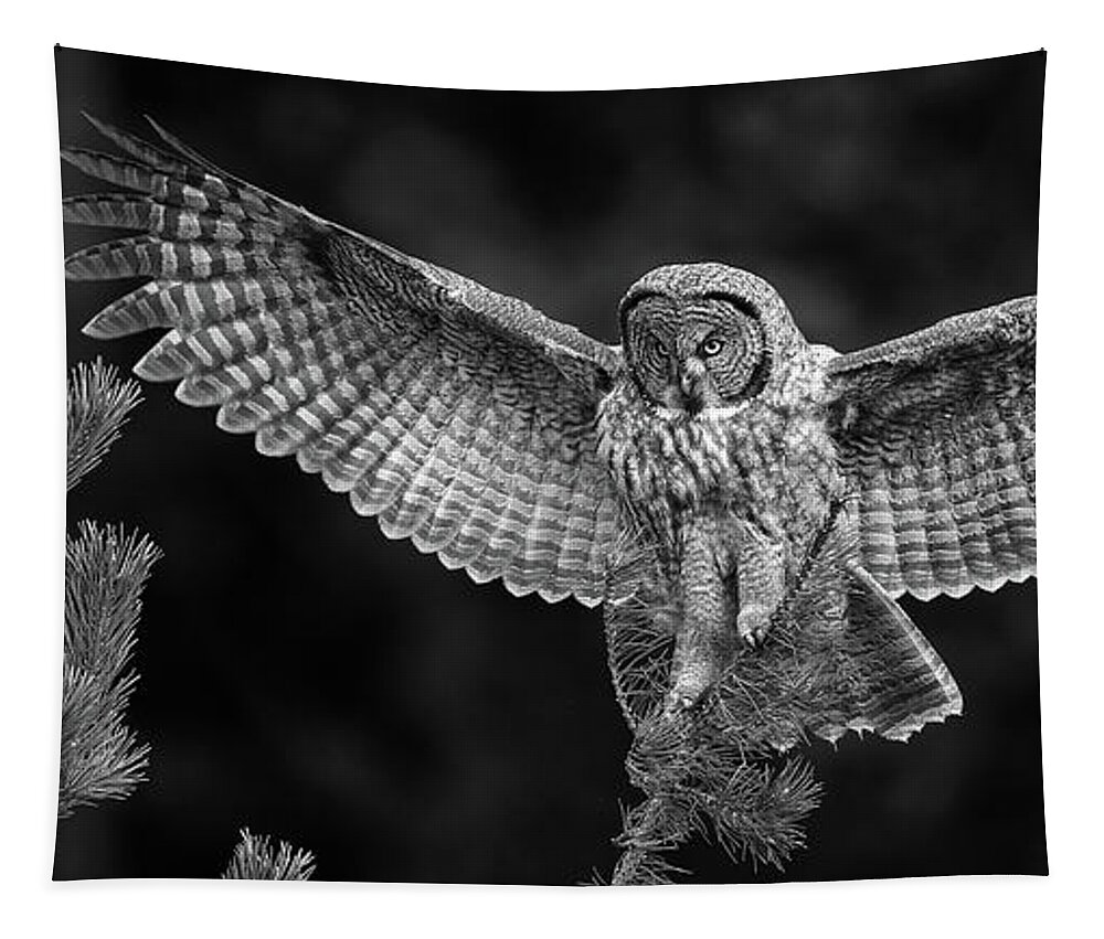 Great Gray Owl Tapestry featuring the photograph Great Gray Owl Black and White by Max Waugh