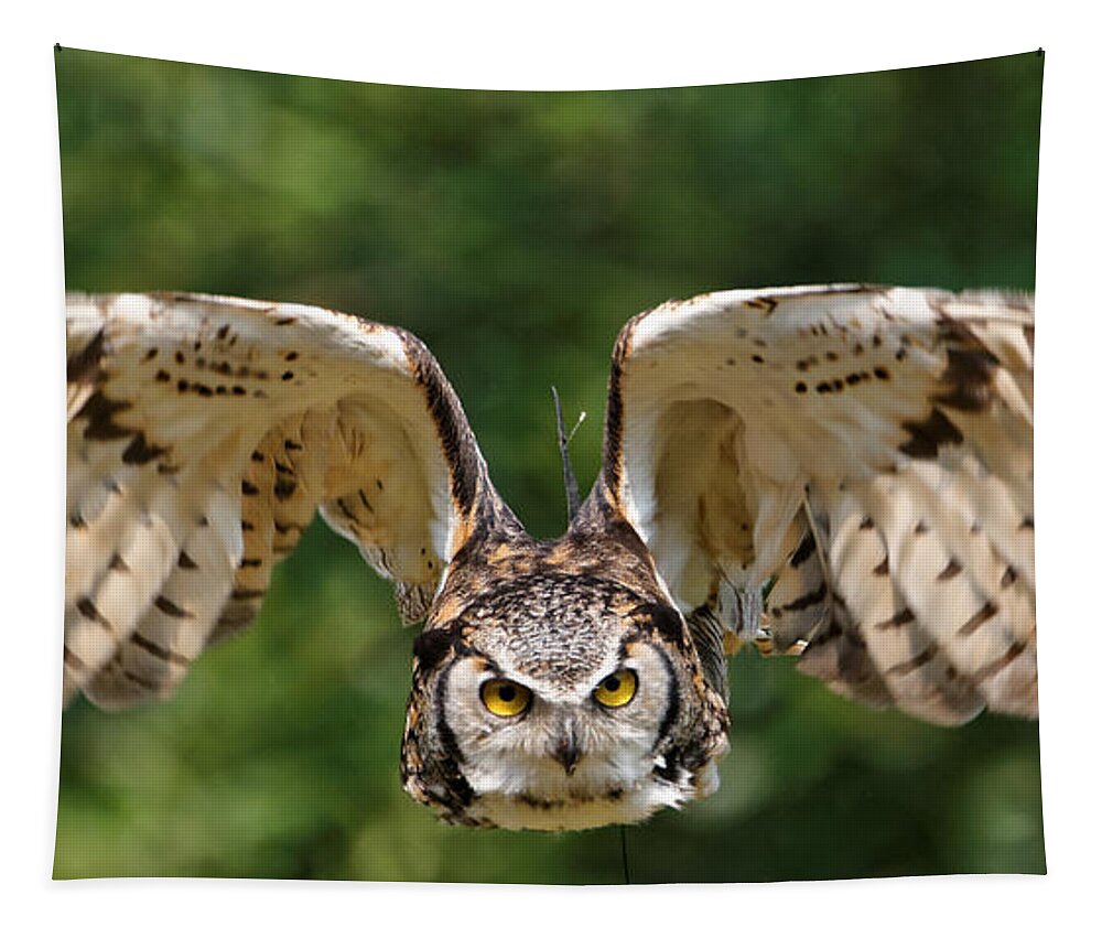 Great Horned Owl Tapestry featuring the photograph Great Horned Owl - In Flight by Sue Harper