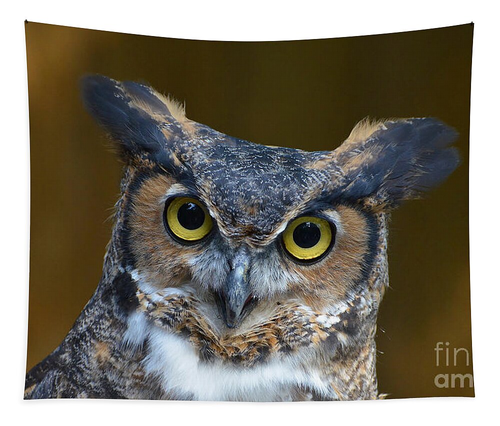 Owl Tapestry featuring the photograph Great Horned Owl Portrait by Kathy Baccari