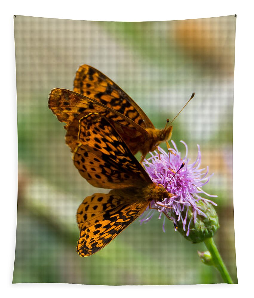 Great Spangled Fritillary Tapestry featuring the photograph Great Spangled Fritillary Couple by Holden The Moment