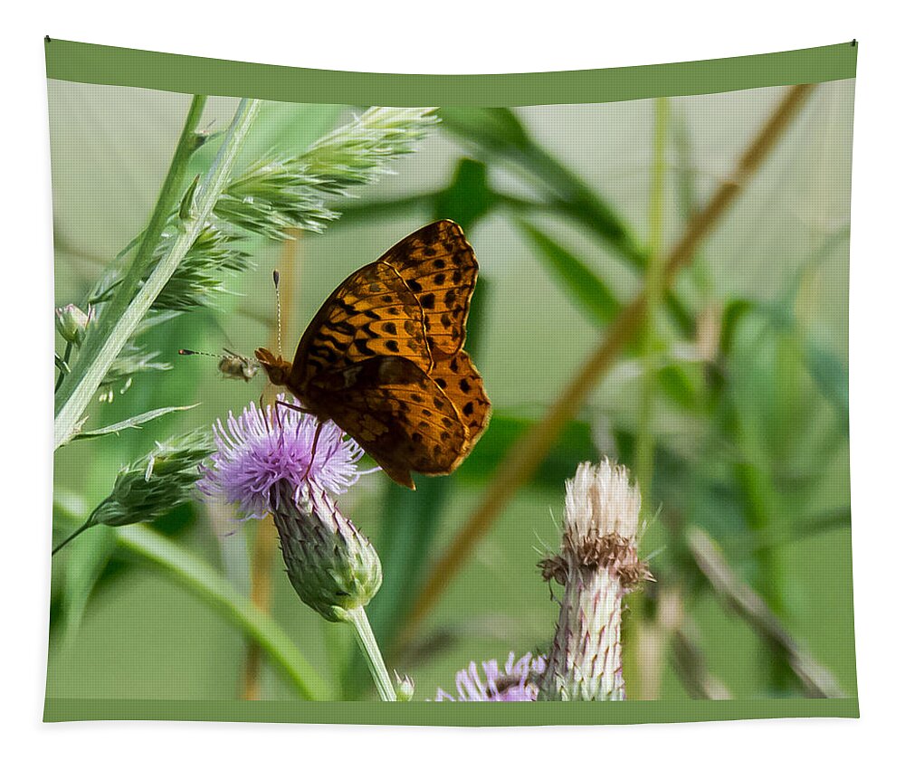 Great Spangled Fritillary Tapestry featuring the photograph Great Spangled Fritillary by Holden The Moment