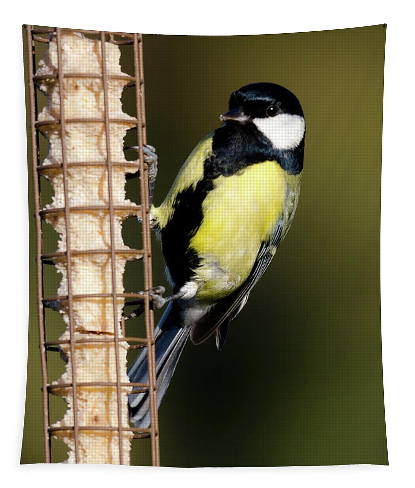 Great Tit Tapestry featuring the photograph Great tit on feeder by Steev Stamford