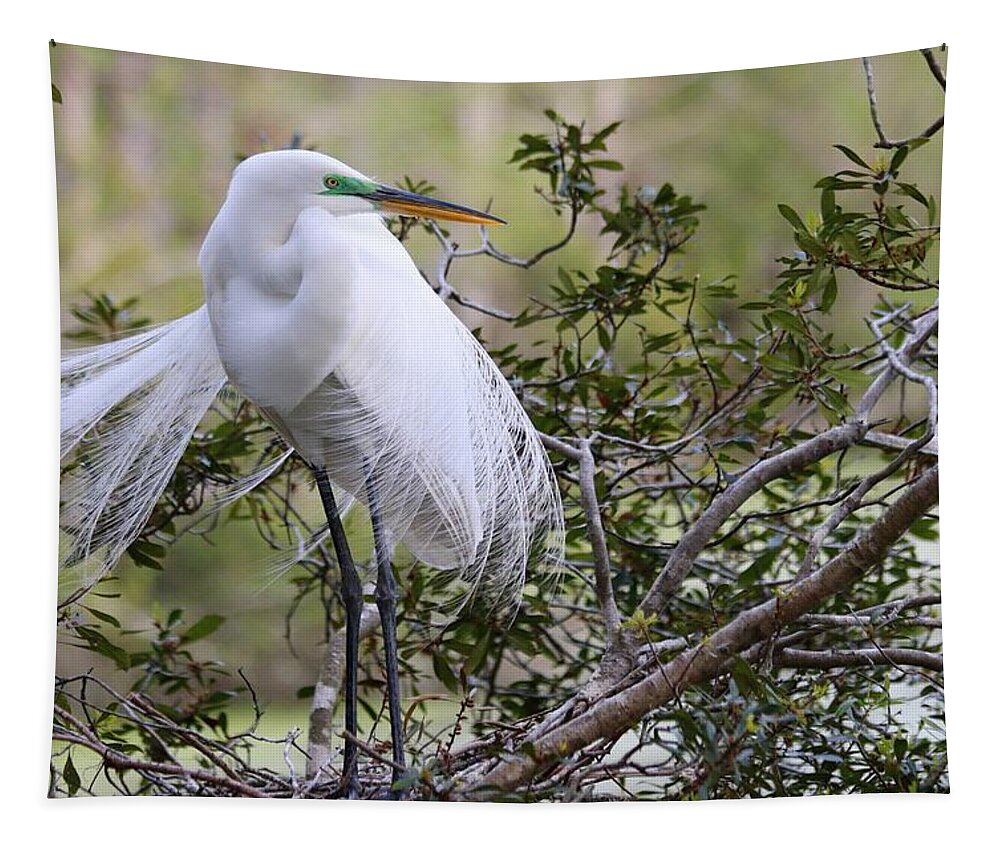 Carol R Montoya Tapestry featuring the photograph Great White Egret by Carol Montoya