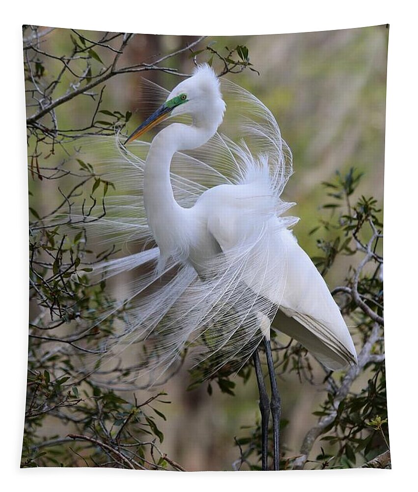 Great White Egret Tapestry featuring the photograph Great White Egret IV by Carol Montoya
