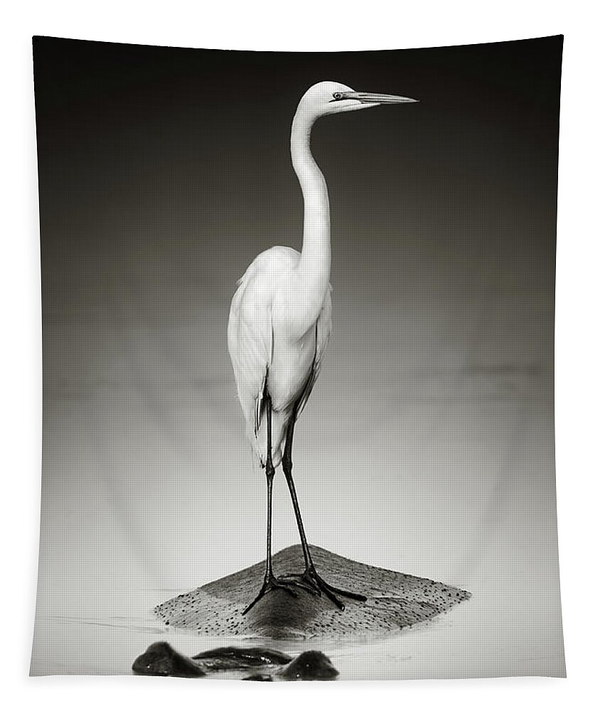 #faatoppicks Tapestry featuring the photograph Great white egret on Hippo by Johan Swanepoel