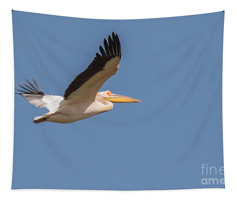 Animalia Tapestry featuring the photograph Great white pelican over Kerkini lake Greece by Jivko Nakev