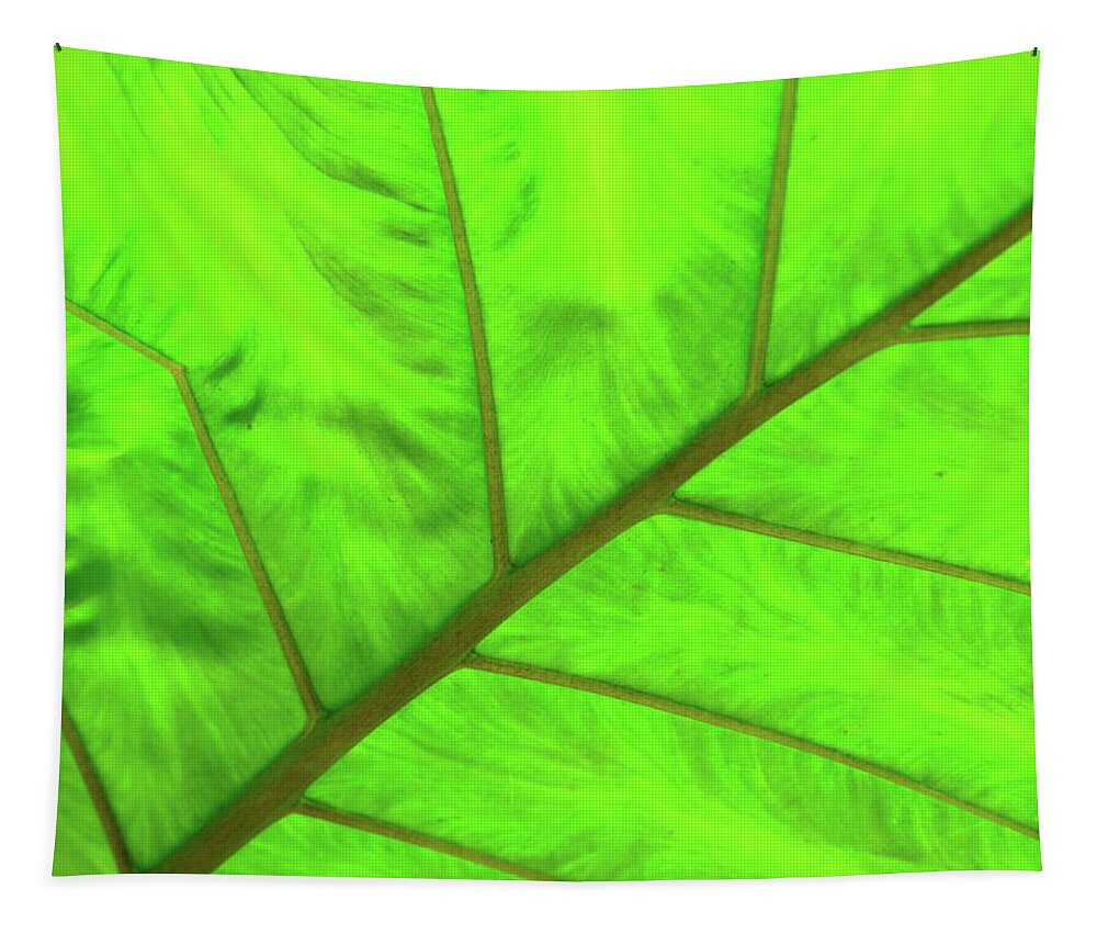 Eden Project Tapestry featuring the photograph Green Abstract No. 5 by Helen Jackson