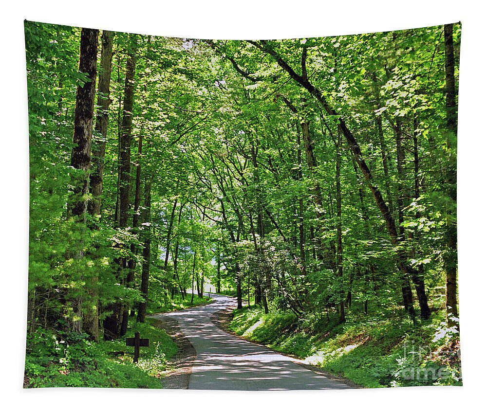 Woods Tapestry featuring the photograph Green Beauty In The Cove by Lydia Holly