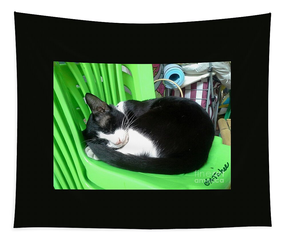 Green Tapestry featuring the photograph Green Chair Sleeping by Sukalya Chearanantana
