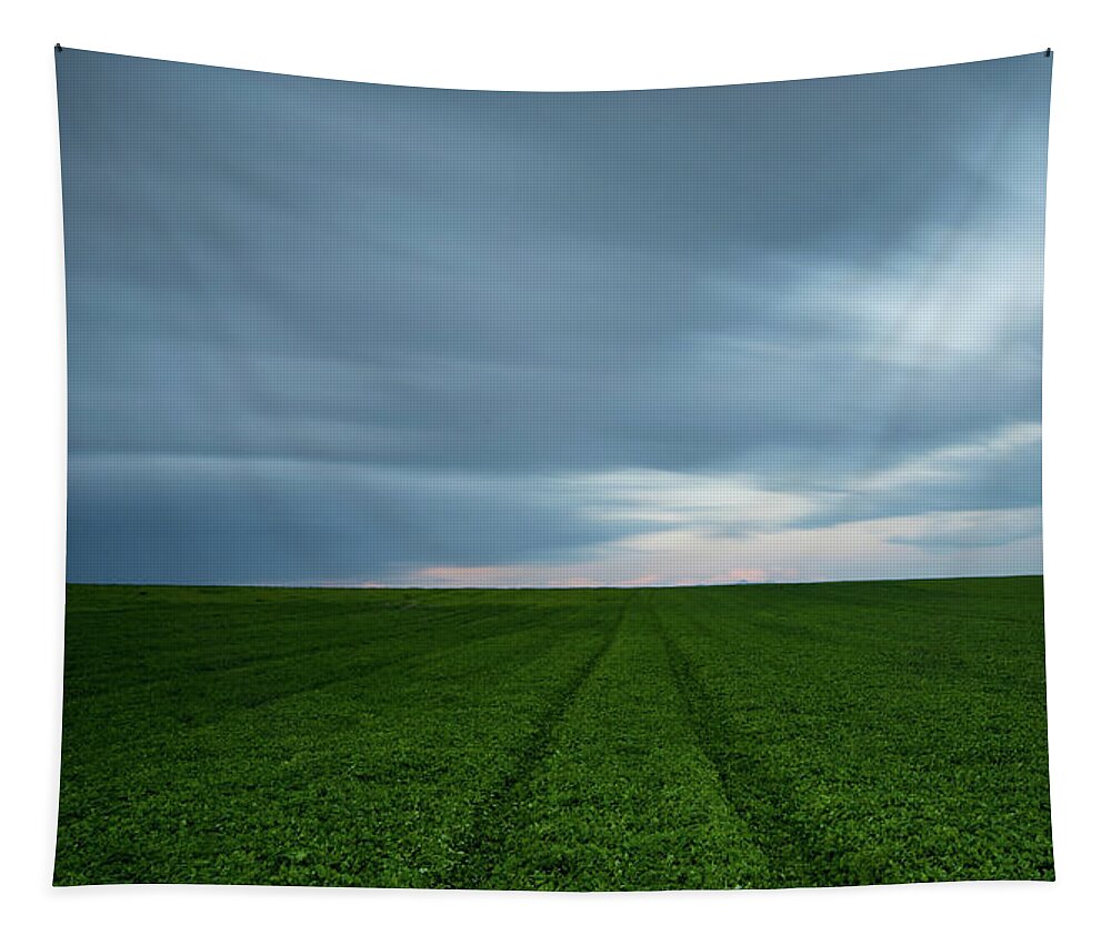 Freedom Tapestry featuring the photograph Green field and cloudy sky by Michalakis Ppalis
